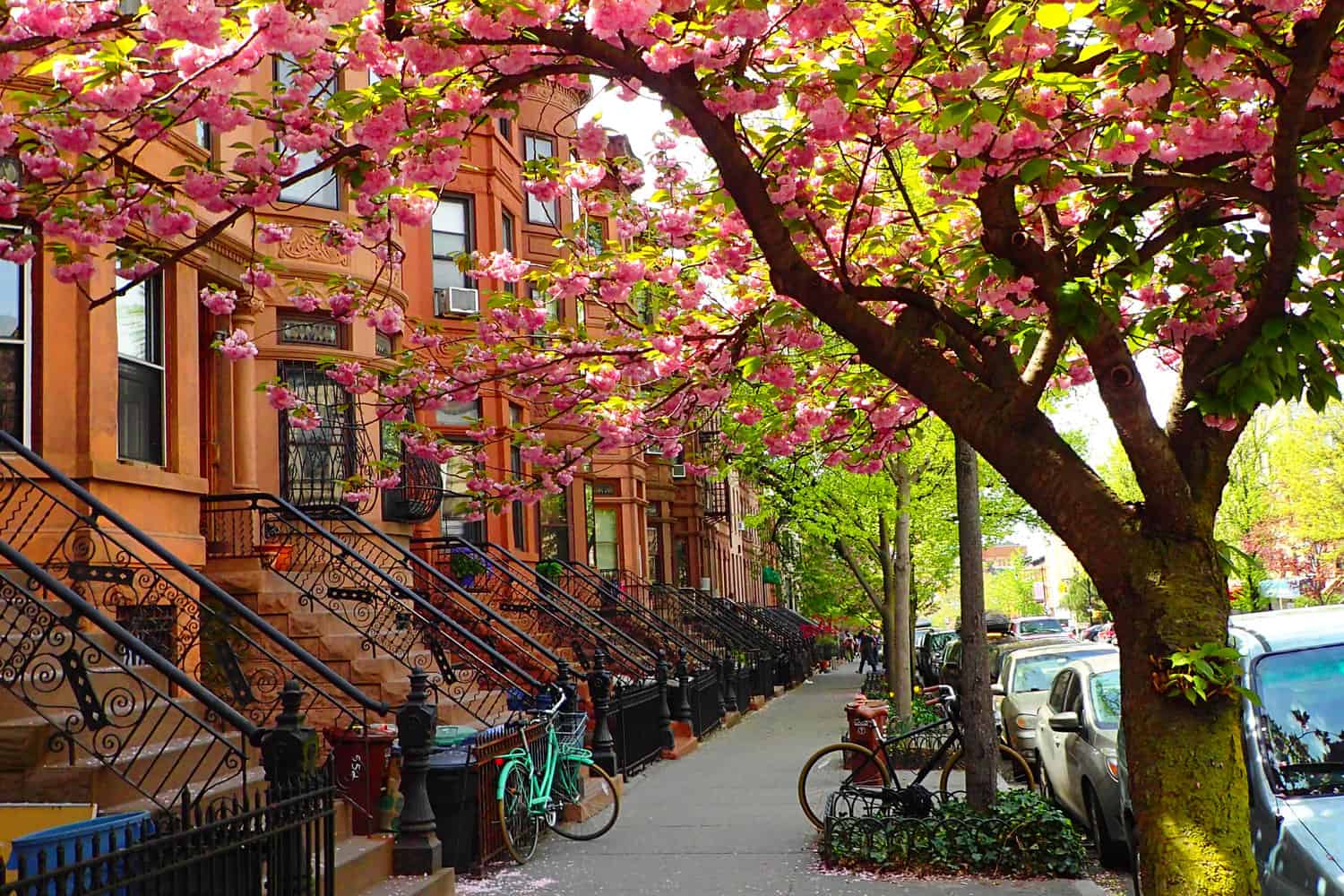 A street in Brooklyn New York during the Spring. Trees are growing, sun is shining, and it looks beautiful.